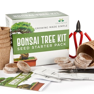 Bonsai Tree Starter Kit -Grow Your Own Bonsai Trees from Seeds - Gardening Gift Set Includes 5 Bonzai Tree Seeds Species - Bonsi Tools