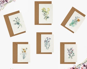 Cartes de graines plantables, Carte de vœux illustrée de fleurs sauvages, Cartes vierges, Carte de papier de semence, Cartes écologiques, Paquet de cartes fait à la main