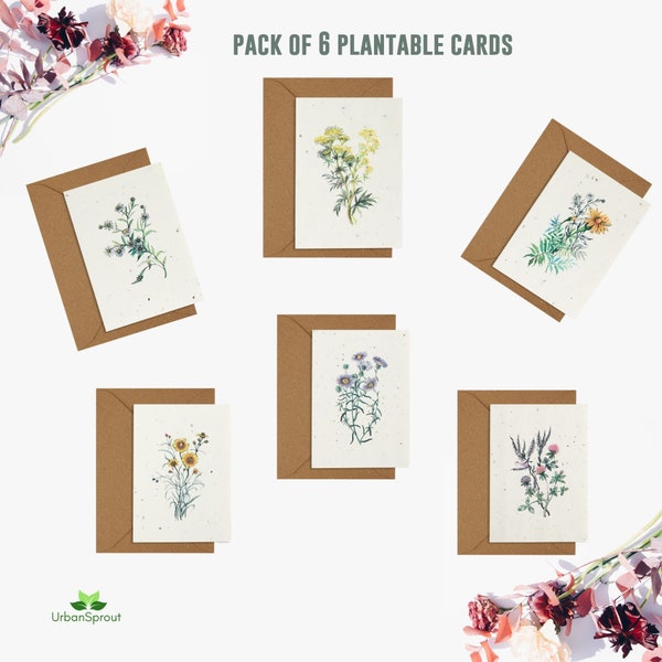 Cartes de graines plantables, Carte de vœux illustrée de fleurs sauvages, Cartes vierges, Carte de papier de semence, Cartes écologiques, Paquet de cartes fait à la main