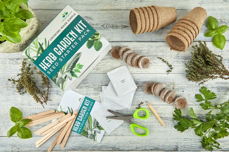 Herb Garden Kit Grow Your Own Kitchen Herbs Indoors Etsy UK