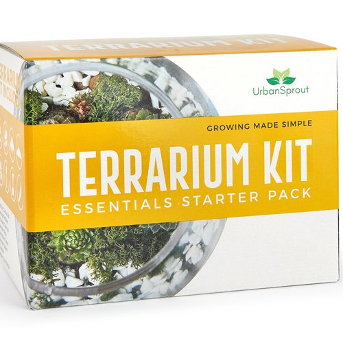 Plant Terrarium Kit for Succulent Plants and Cacti. Includes Cactus Soil, Moss, Gravel and Step-by-Step Guide