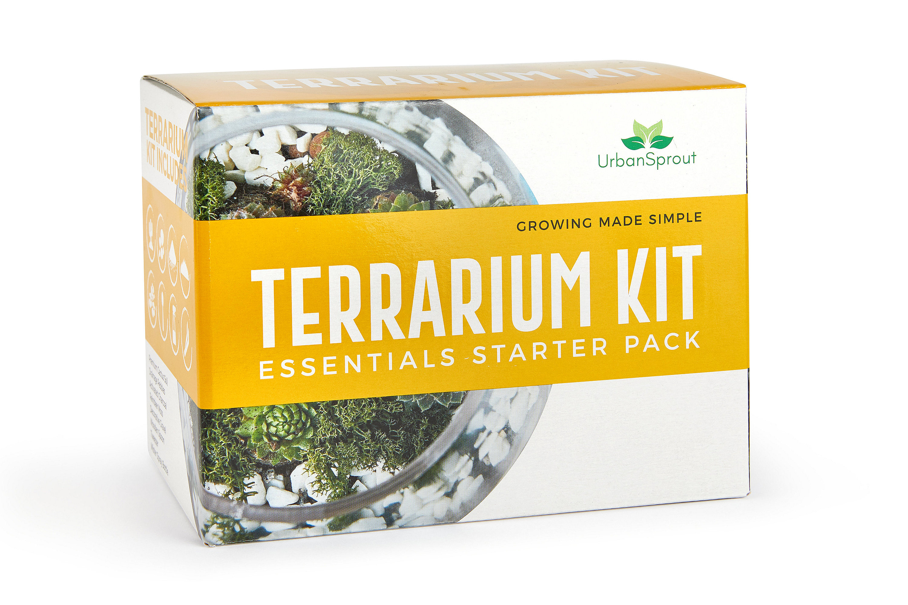 Plant Terrarium Kit for Succulent Plants and Cacti. Includes Cactus Soil, Moss, Gravel and Step-by-Step Guide