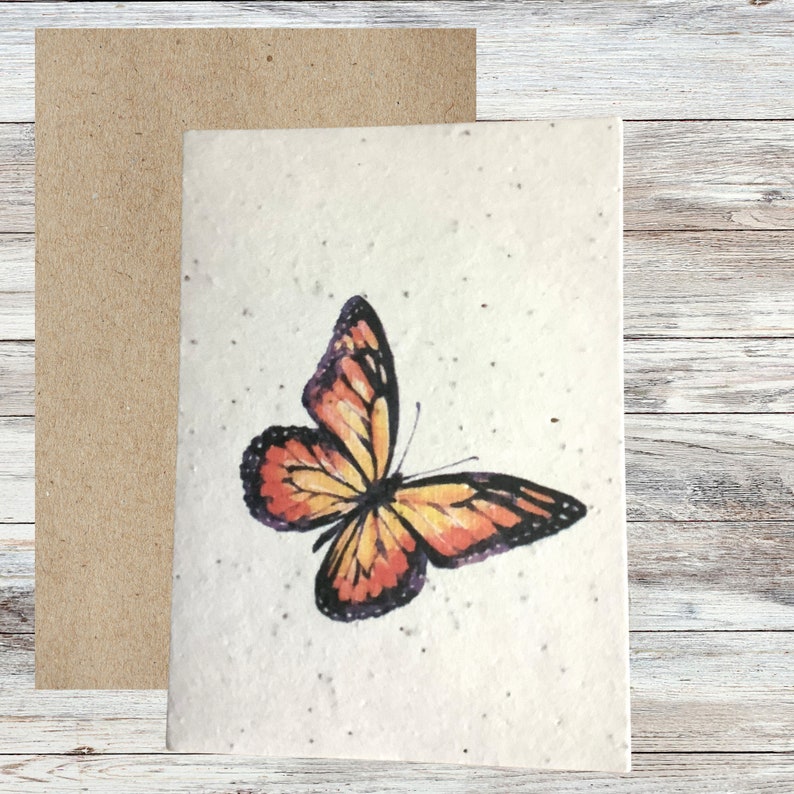 Cartes de graines plantables, carte de vœux illustrée Bee & Butterfly, cartes vierges, carte de papier de semence, cartes écologiques, paquet de cartes fait à la main image 3