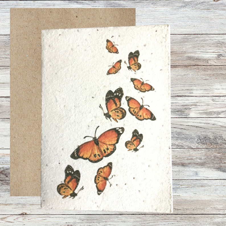 Cartes de graines plantables, carte de vœux illustrée Bee & Butterfly, cartes vierges, carte de papier de semence, cartes écologiques, paquet de cartes fait à la main image 8