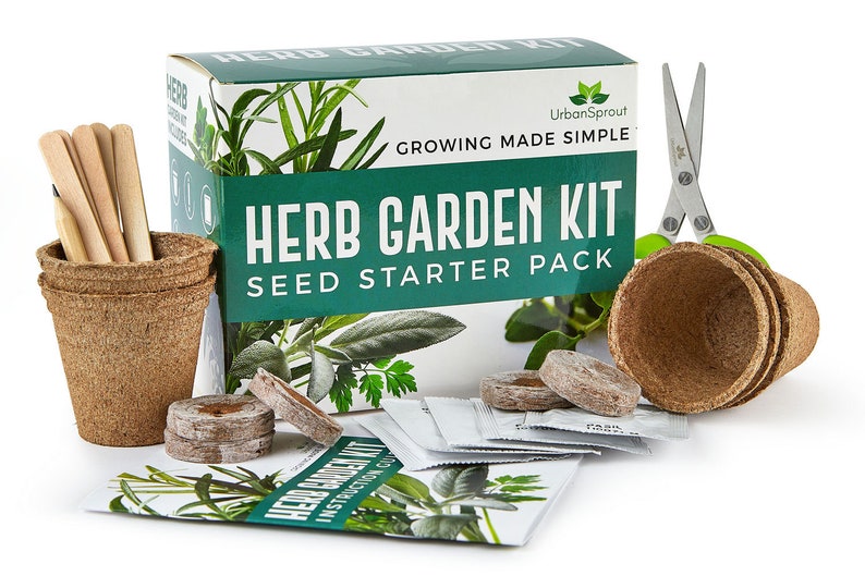 Herb Garden Kit Grow Your Own Kitchen Herbs Indoors Etsy