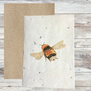 Cartes de graines plantables, carte de vœux illustrée Bee & Butterfly, cartes vierges, carte de papier de semence, cartes écologiques, paquet de cartes fait à la main image 2