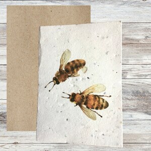Cartes de graines plantables, carte de vœux illustrée Bee & Butterfly, cartes vierges, carte de papier de semence, cartes écologiques, paquet de cartes fait à la main image 7