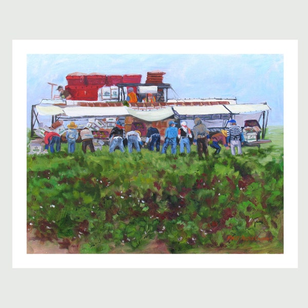8x10 PRINT "Harvesting Radicchio", by Rhett Regina Owings,  from an original oil painting, Salinas Valley, California, signed