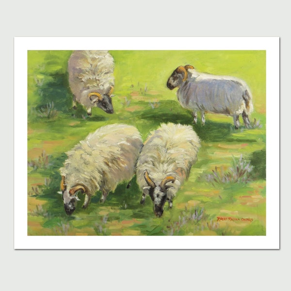 8x10 PRINT "Four Sheep",  by Rhett Regina Owings, from an original oil painting, sheep, Mission Ranch, Carmel, California, signed