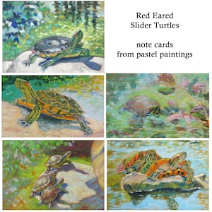 RED EARED SLIDER turtles note card set of 5 from original pastel paintings by Rhett R Owings - ponds pond slider reptile art