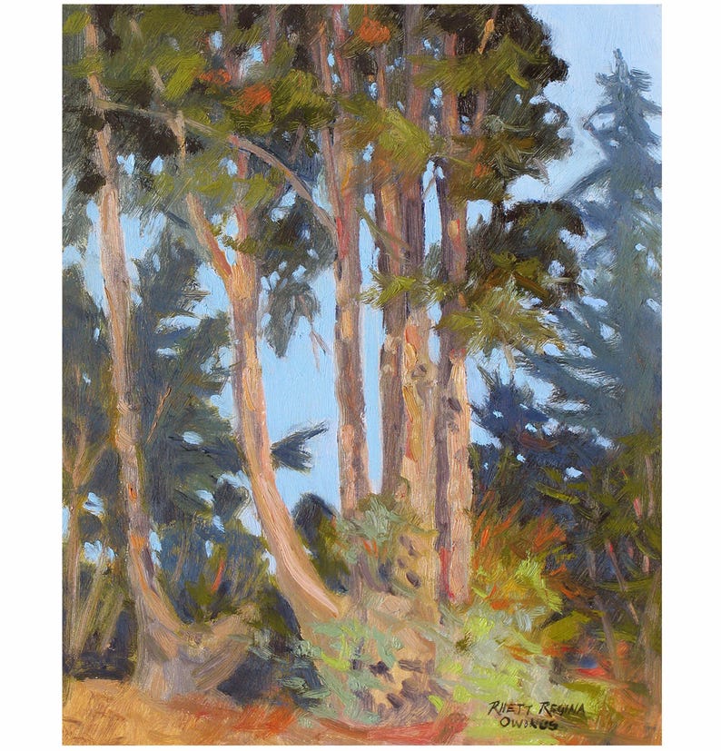 Op de afbeelding: Een olieverfschilderij toont een groep hoge bomen met lichtbruine stammen en groene bladeren. Het kunstwerk heeft een textuurrijke, impressionistische stijl, met zichtbare penseelstreken. De lucht is lichtblauw en de grond is een mix van groen en bruin.
