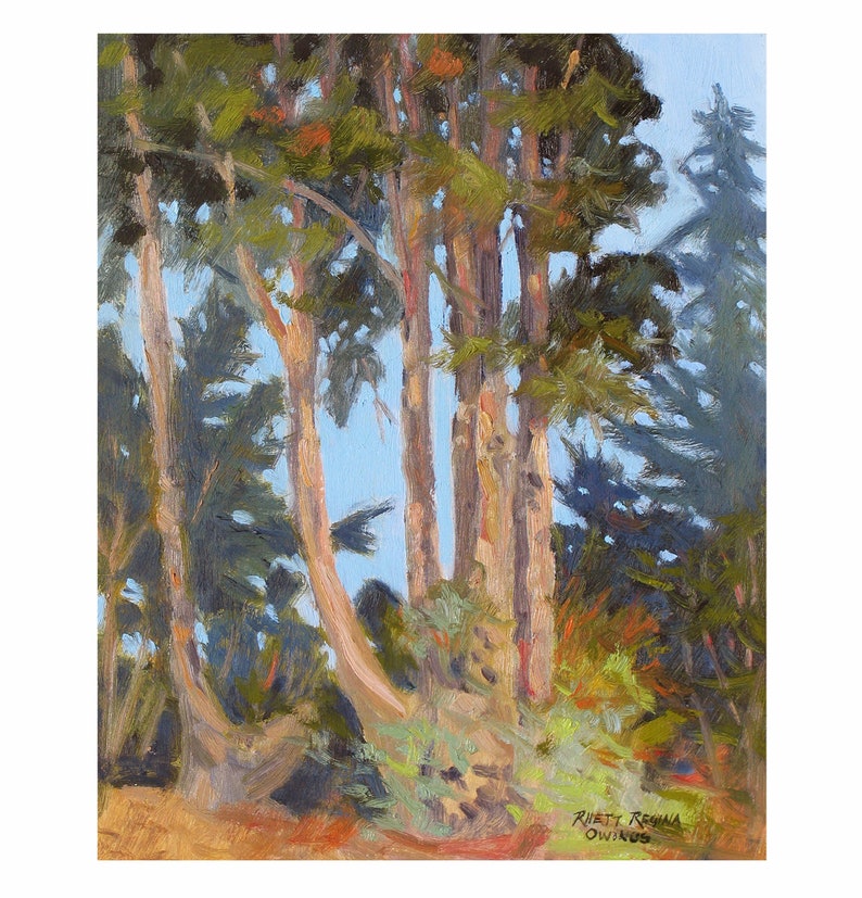 Op de afbeelding: Een olieverfschilderij toont een groep hoge bomen met lichtbruine stammen en groene bladeren. Het kunstwerk heeft een textuur, met zichtbare penseelstreken. De lucht is lichtblauw en het schilderij is gesigneerd door de kunstenaar, Rhett Regina, met het woord "Owinus" eronder.