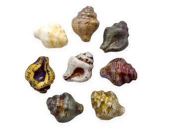 Purple Conch seashell 