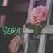Seda