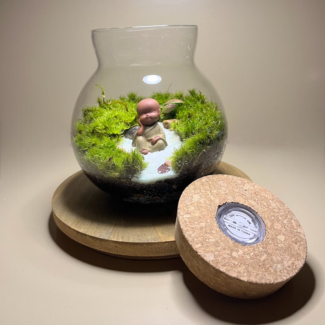 6 LED Glass Globe Terrarium fairy Garden-micro Terrariums-self Sustaining  Terrariums-live Ecosystems-live Moss-valentines Day Gift Ideas 