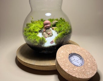 5" LED glass globe terrarium | 5" Diameter | Live Moss Holder | Moss Terrarium | Greenery Home Decor | Botanical Decor | Botanical Decor