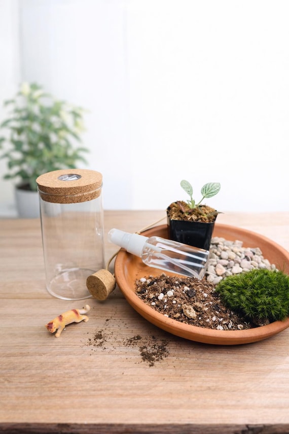 leather plant hanger Leather Plant Hanger // Y2K Print  The Terracotta Room