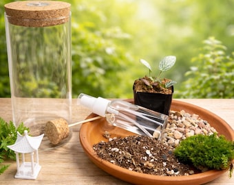 DIY Terrarium Kit – 7” Glass Jar with LED Cork Lid, Live Moss & Plants, Complete Nature Craft Gift Set for Home Decor and Plant Lovers