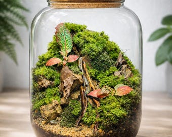 9” Living Moss Terrarium with LED Light | Self Sustaining Closed Ecosystem Jar | Handmade Glass Desk Plant Decor | Unique Plant Lover Gift