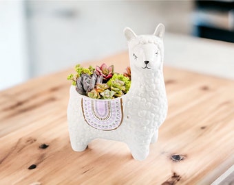 Animal planter | Plant Pot | Cute Animal Pot | Gift for Plant Lovers | Housewarming Gift | Quirky Home Decor | Mother's day Gift | Gift Idea