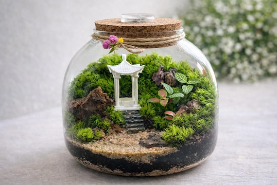 Japanese Garden Moss Terrarium with LED Cork Lid | Zen Garden Terrarium | Handmade Live Moss Ecosystem | Desk Decor | Plant Lover Gift