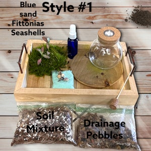 3&quot;LED Terrarium DIY Kit | DIY Terrarium Supplies | Green Thumb Gift | Mini Garden Kit | Mini Plant Botanical Decor