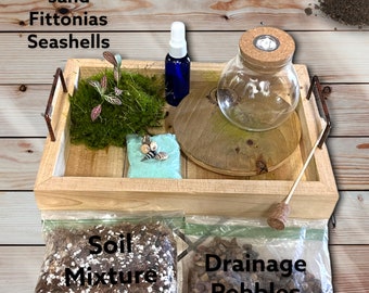 3&quot;LED Terrarium DIY Kit | DIY Terrarium Supplies | Green Thumb Gift | Mini Garden Kit | Mini Plant Botanical Decor