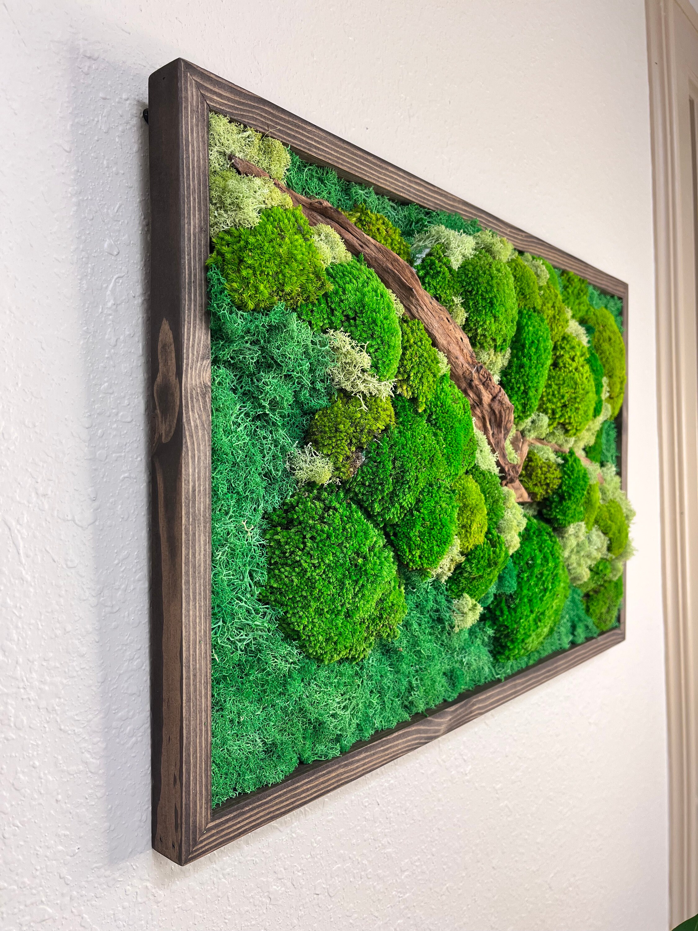 16x24 Inch Moss Wall Art-preserved Moss Art Framed-living Moss - Etsy