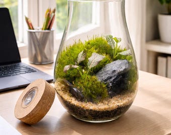 8 Zoll hohes handgefertigtes Moos-Terrarium mit japanischer Stein-u Mini Waldglas Terrarium | Einzigartiges Natur-Dekor-Geschenk