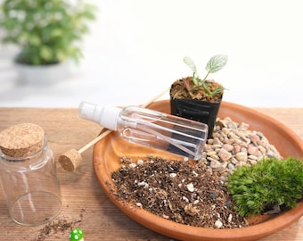 DIY Terrarium Kit for Beginners – 2” Glass Jar with Live Moss, Fun Indoor Garden Craft for Kids & Adults, Easy Plant Craft Gift Set