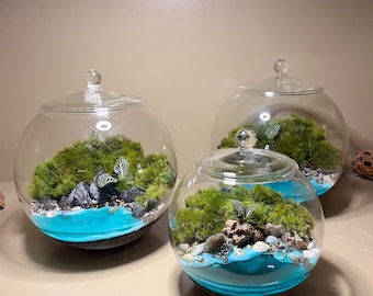 Ocean terrarium with fresh live moss | Moss Terrarium | Mothers day Gift | Coastal Living Decor | Nature Inspired Gift | Beach House Decor