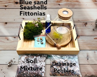 5 "DIY Terrarium Kit | Moss & Gravel | DIY Garden Kit | Glass Globe Terrarium |  Gardening Gift Set | Mothers day Gift |  Garden Craft Set