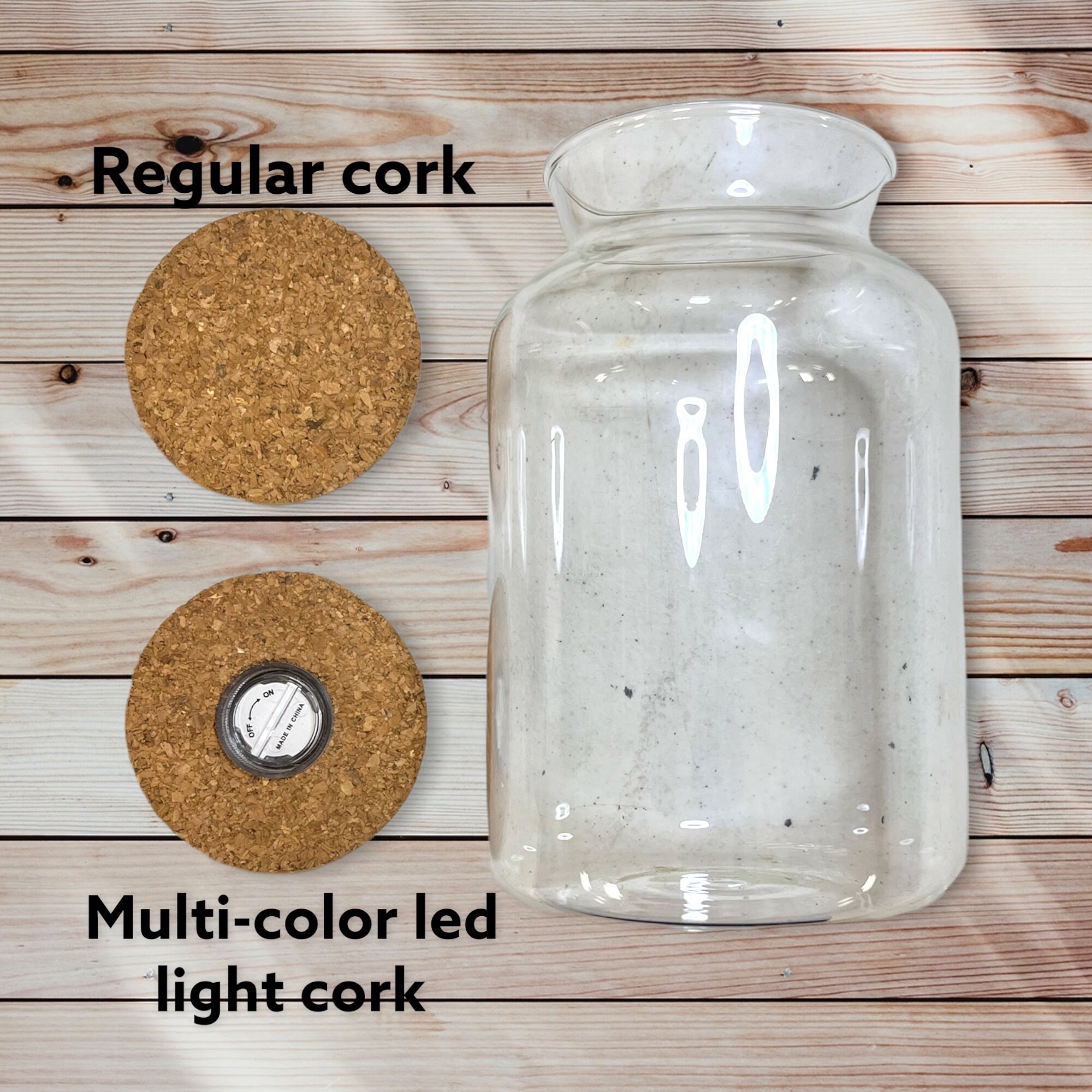 DIY Terrarium Kit live Plants and Moss sealed Terrarium Kit Etsy