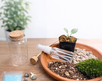 Mini DIY Terrarium Kit – Live Moss Garden with Mini Turtle, Beach Theme, Unique Gift for Plant Lovers, Desk Decor
