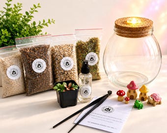Fairy Terrarium DIY Kit with Light, Fittonia Plant & Miniature Fairy Garden, Magical Gift for Plant Lovers