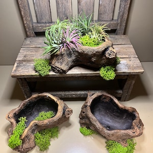 Holzbaumstamm Topf | Rustikaler Pflanzenhalter | Naturholz Pflanzgefäß | Handgefertigter Übertopf |  | Outdoor Planter Valentinstag Geschenk Ideen