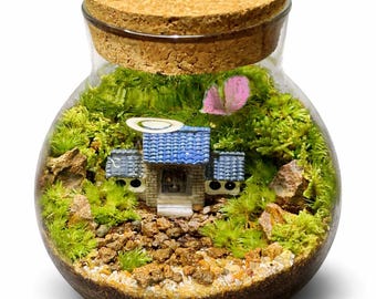 LED Moss Terrarium Decor | Mini Desk Ecosystem Gift | Handmade Indoor Plant l Valentine gift