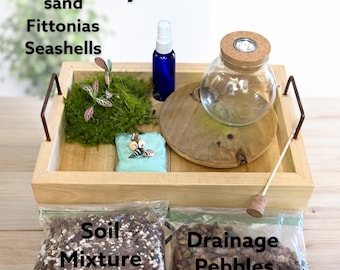 DIY Terrarium Kit 3” Glass Jar with Live Moss, Mini Indoor Garden Craft Kit, Easy DIY Plant Gift for Kids, Adults, Home or Desk Decor