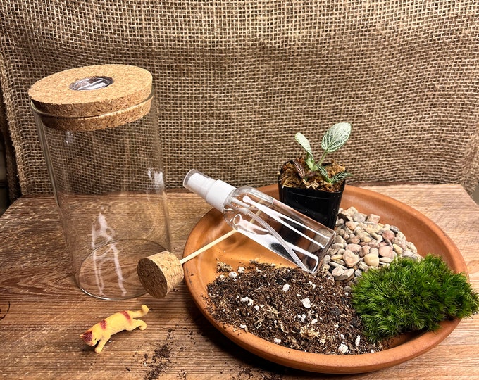 5" DIY terrarium kit | Succulent Terrarium Set | mothers day Gift |  Miniature Garden Kit | 5" Glass Jar Terrarium | Gift for Plant lovers