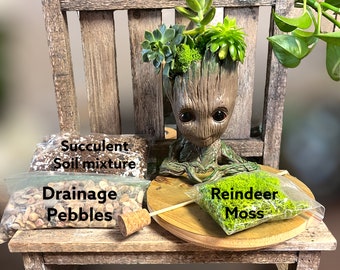 Baby Groot Planter Kit | DIY Plant Kit | Handmade Gift | Gardening Kit | Groot Pot Decor | Indoor Plant Kit | DIY Mini Groot Pot | Gift Set