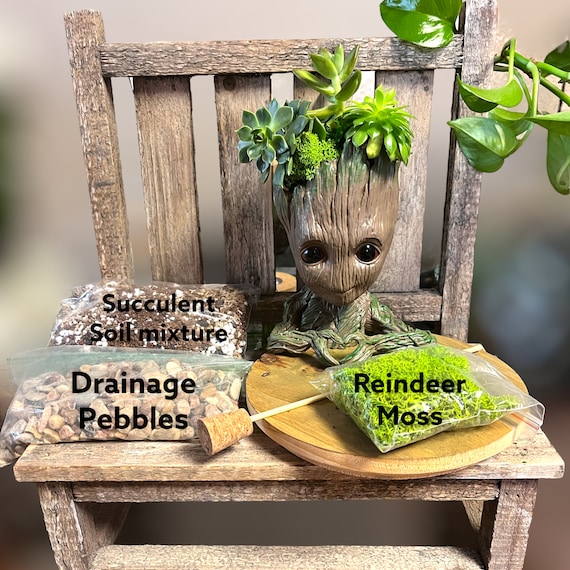 Baby Groot Succulent Planter Kit | DIY Gardening Gift | Indoor Plant Decor  - Etsy