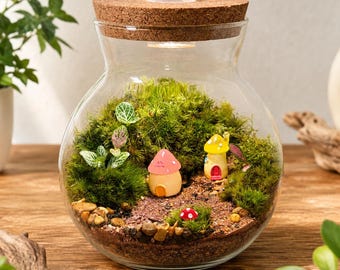 May include: A clear glass terrarium with a cork lid featuring an integrated light. Inside, green moss covers the base, accented by small pebbles, a tiny red mushroom, and two miniature house figurines, one pink and one yellow, nestled in soil.