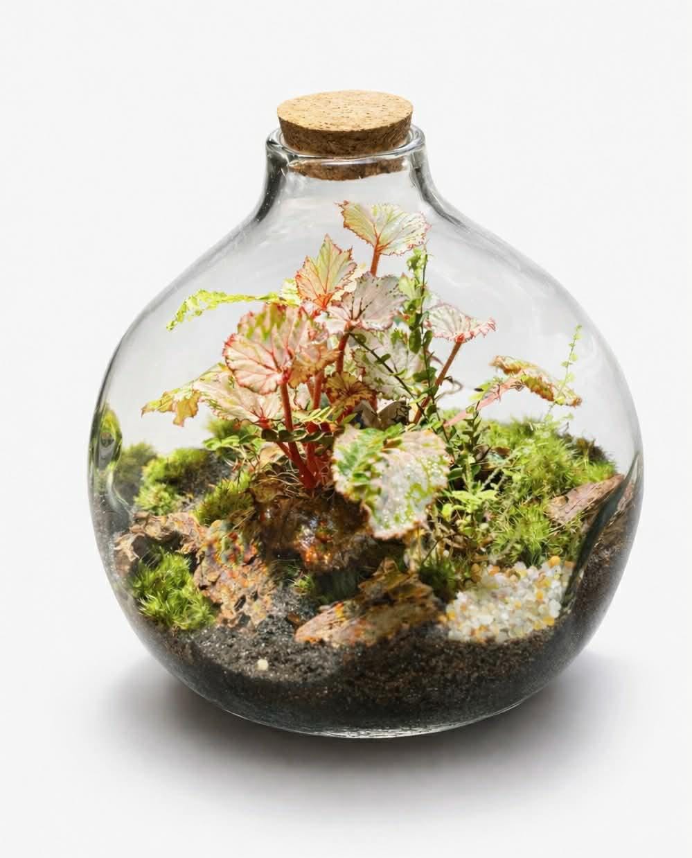 Decorazione Acquario A Forma Di Coccodrillo In Resina | 5 Misure Disponibili Per Terrario