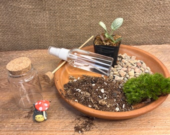 2&quot;Diy terrarium kits | Small Terrarium Set | Succulent Moss Garden | Mini Moss Garden Kit  Lover Succulent Planter
