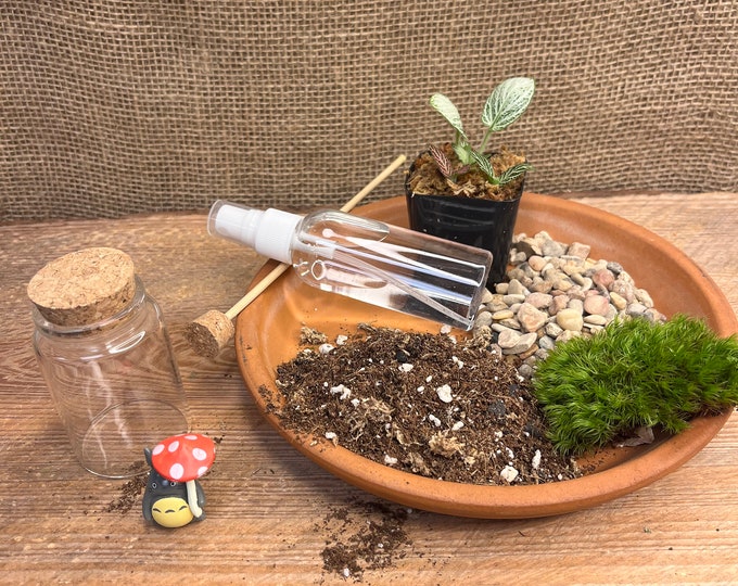 2"Diy terrarium kits | Small Terrarium Set | Succulent Moss Garden | Mini Moss Garden Kit |Nature Lover Gift |Succulent Planter | Garden Kit