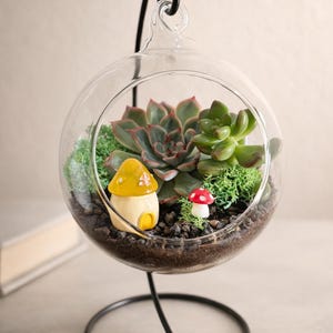 Open Orb Terrarium Kit, Succulent Fairy Garden Mushroom Decor, Hanging Glass Planter