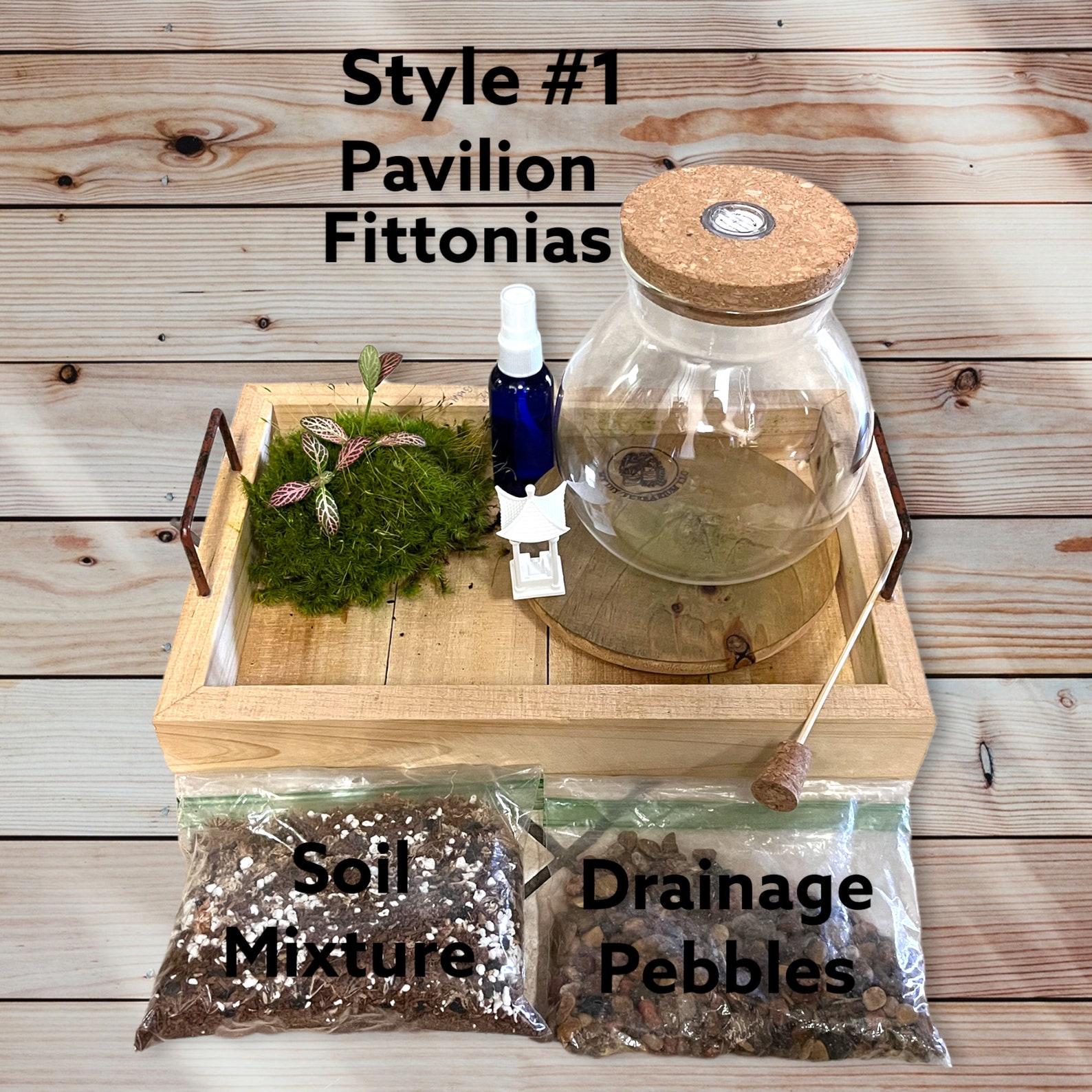 6 DIY Terrarium Kit, Light up Terrarium Kit, Led Terrariums, Live Moss