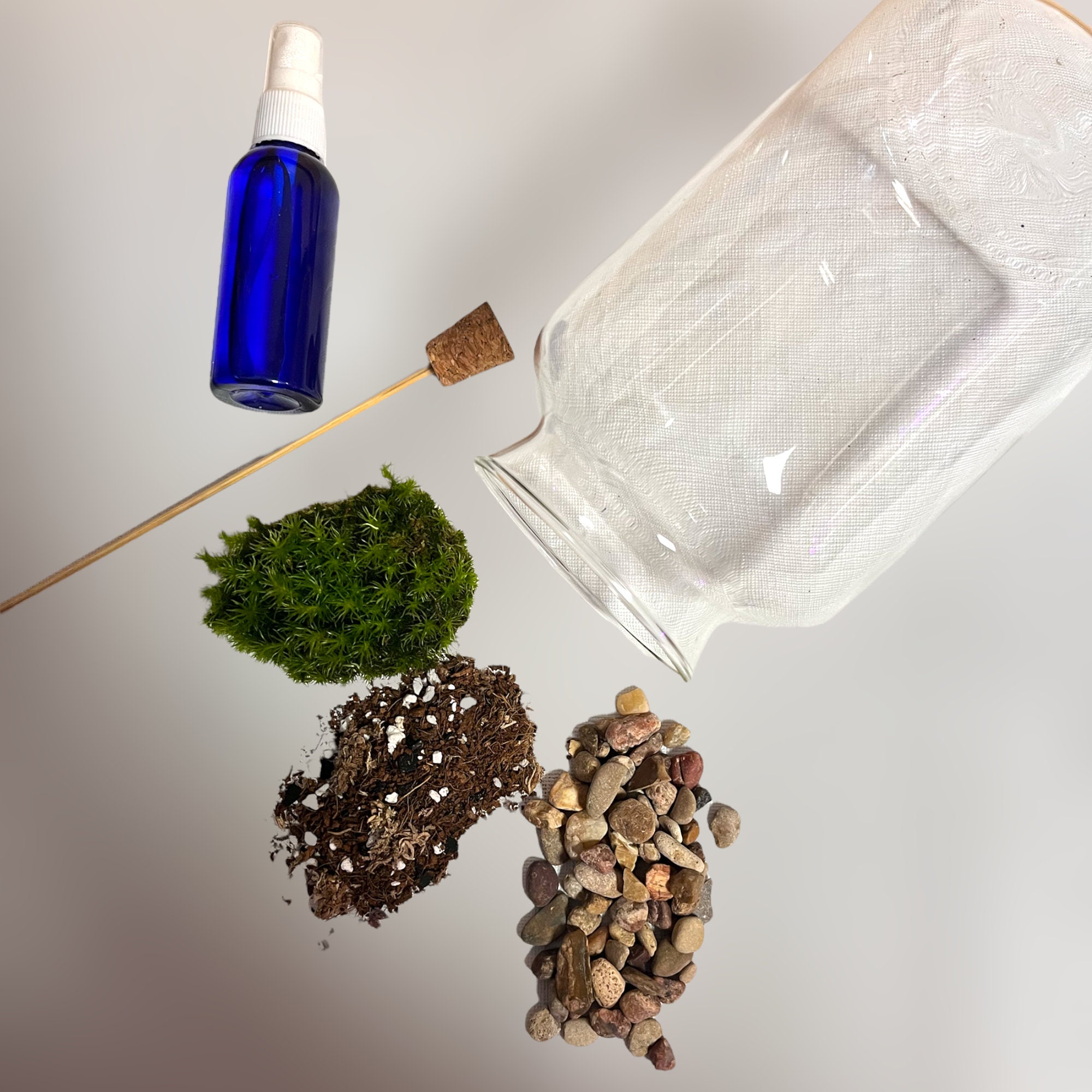 DIY Terrarium Kit live Plants and Moss sealed Terrarium Kit Etsy