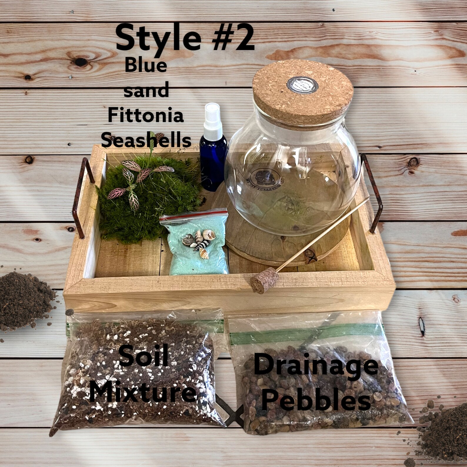 6 DIY Terrarium Kit, Light up Terrarium Kit, Led Terrariums, Live Moss