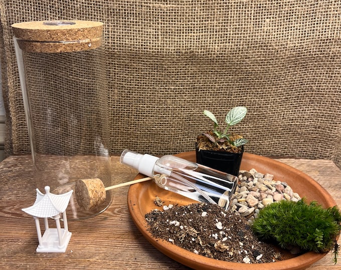 7" DIY terrarium kit | Glass Terrarium | Miniature Garden | Plant Lover Gift | mothers day gift | 7" Glass Terrarium | Indoor Gardening |